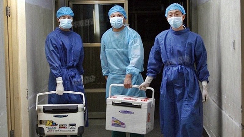 Китай Хънан лекар трансплантация