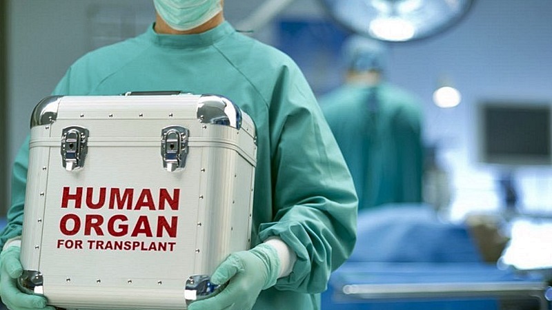 отнемане на органи трансплантация